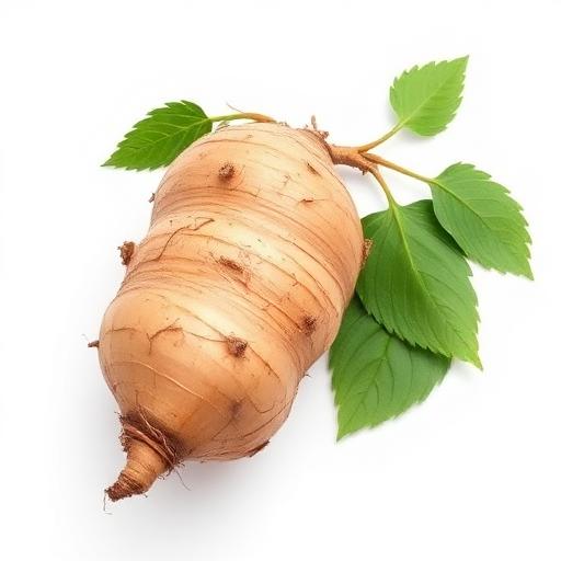 Maca Root
